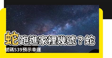 蛇跑進家裡幾號|【蛇跑到家裡】蛇跑到家裡：吉兆還是凶兆？揭秘蛇進家門的風水。